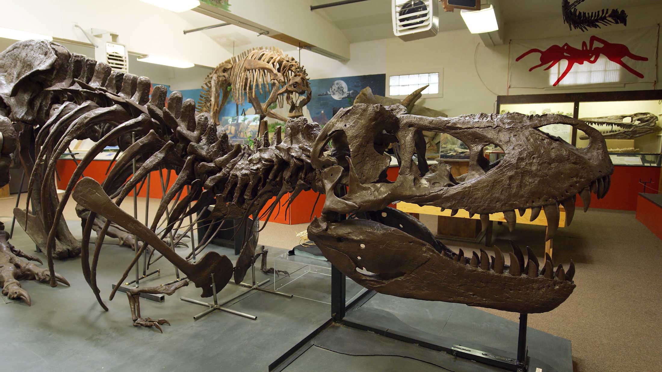 Stargazing in Southeast Montana