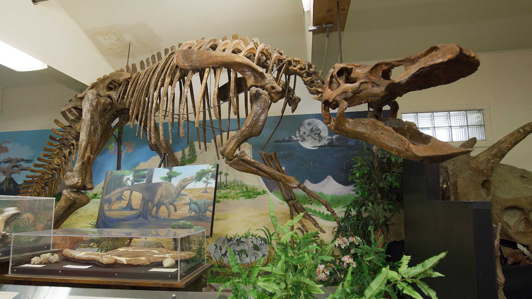 Carter County Museum