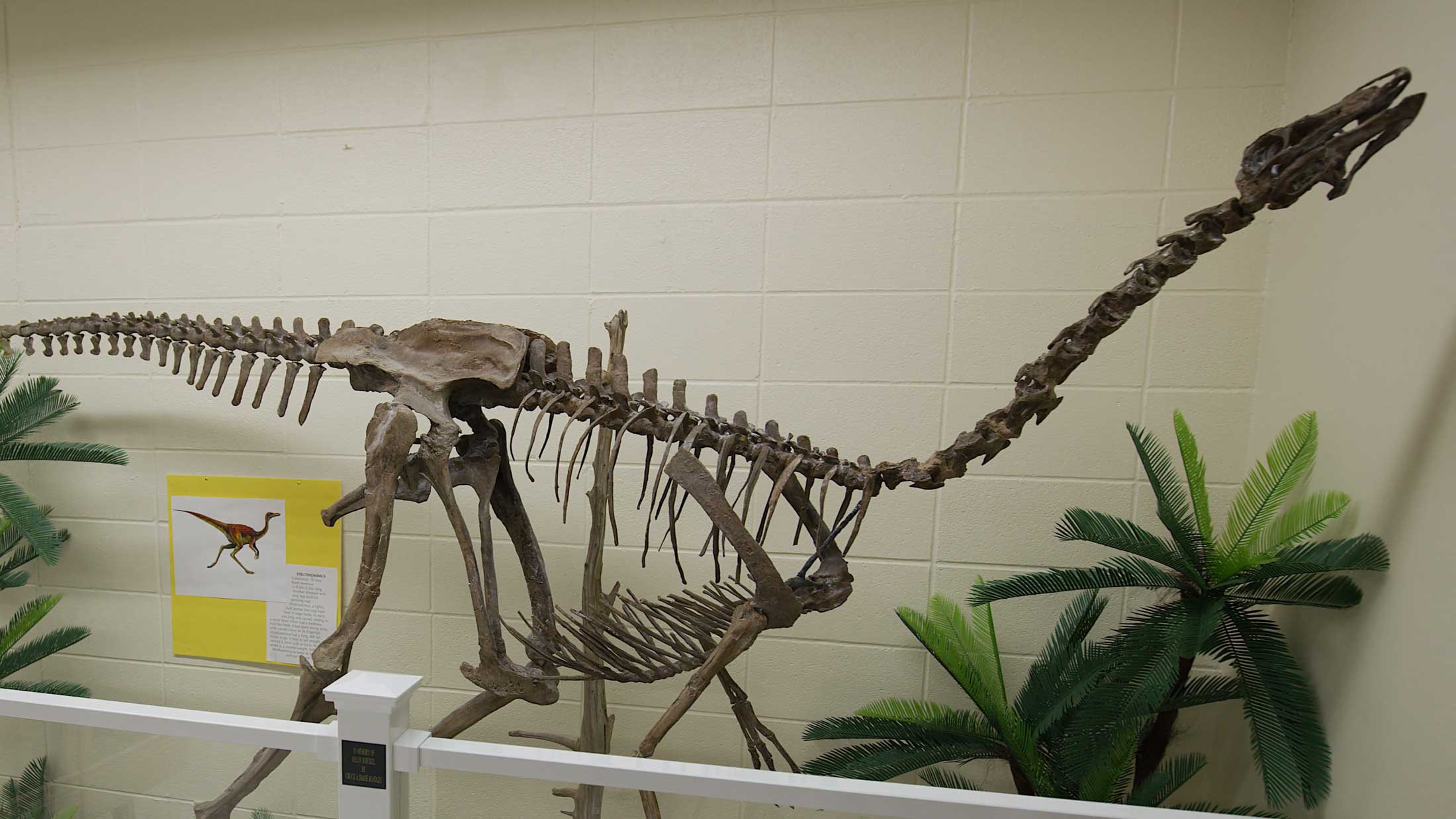 Frontier Gateway Museum