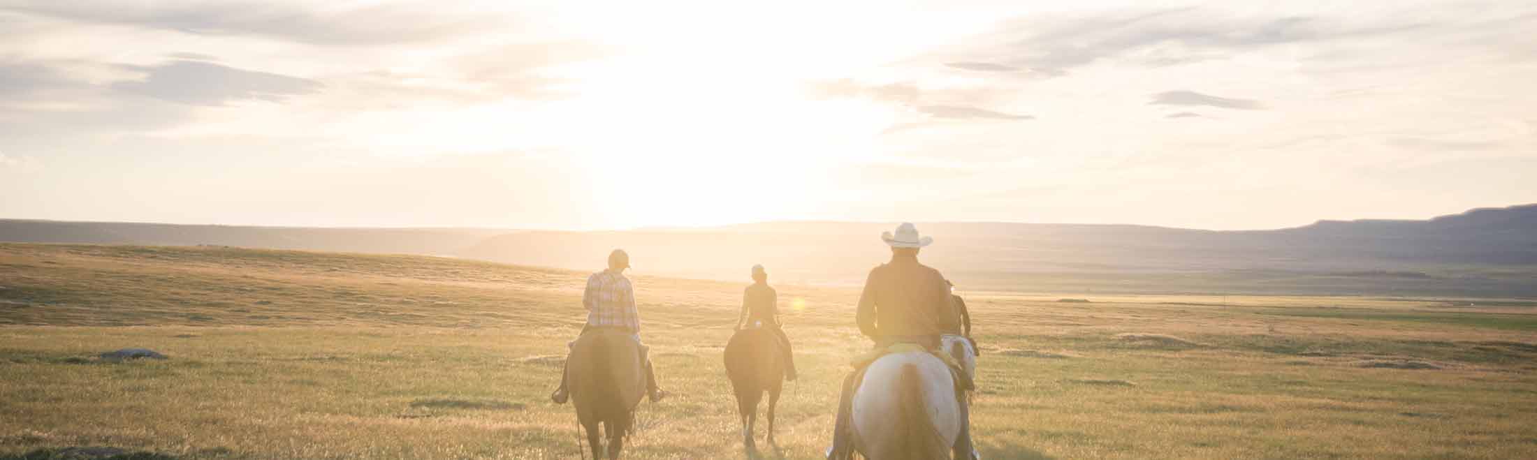 Western Experiences in southeast montana